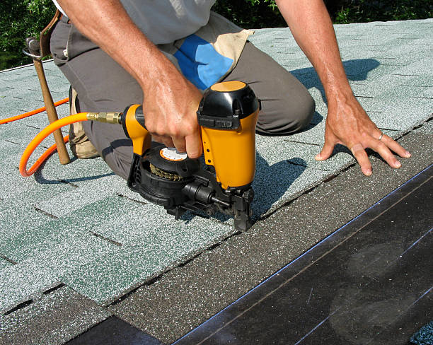 Best Roof Leak Repair  in Homer, MI