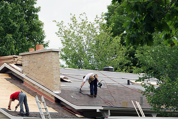 Best Storm Damage Roof Repair  in Homer, MI