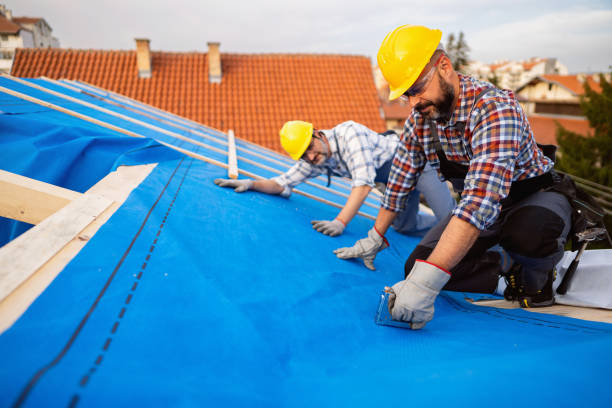 Best Flat Roof Repair Services  in Homer, MI