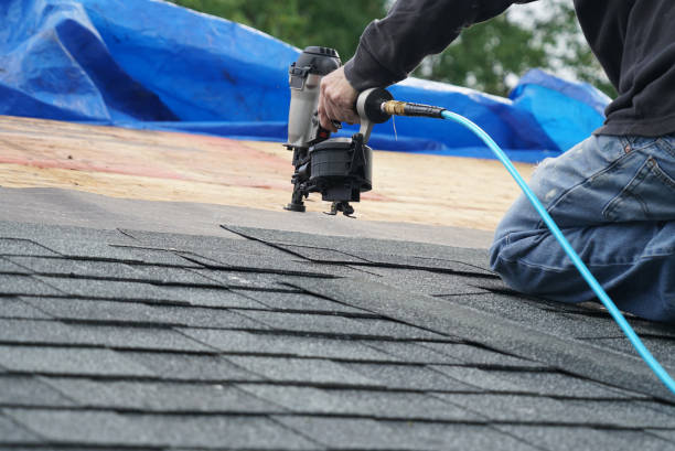 Best Residential Roofing Contractor  in Homer, MI