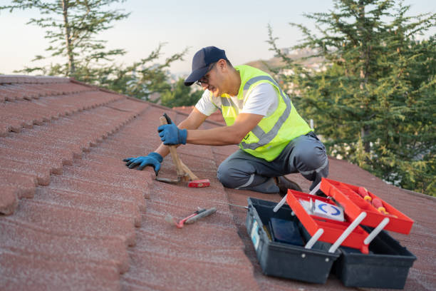 Best Sealant for Roof  in Homer, MI