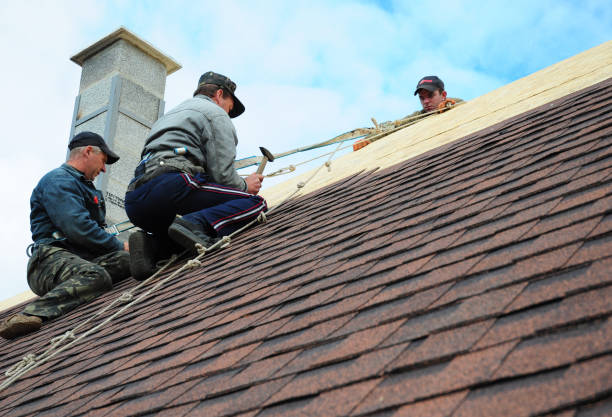 Best Roof Repair Estimates  in Homer, MI