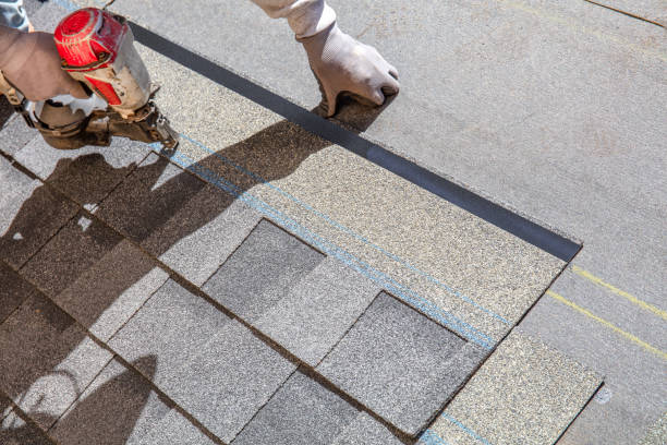 Best Storm Damage Roof Repair  in Homer, MI