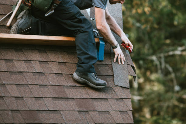 Roof Gutter Cleaning in Homer, MI