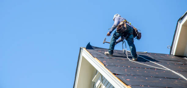 Best Roof Leak Repair  in Homer, MI